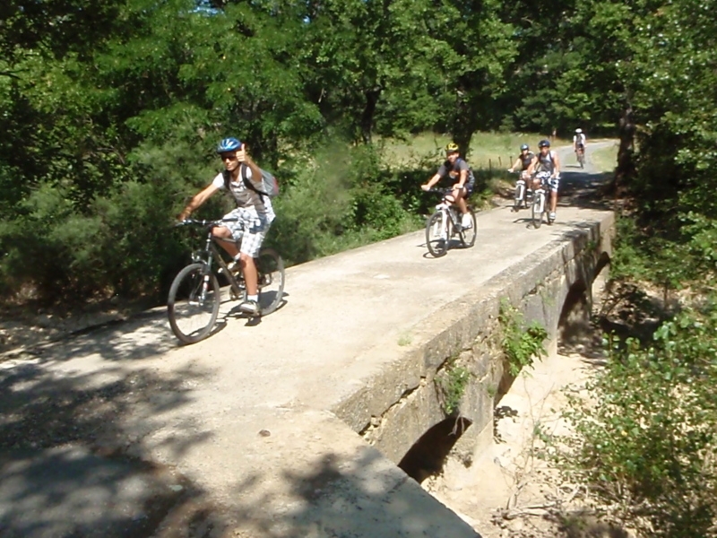 Village Camps International Summer Camp Ard&egrave;che, France 2019-07-26 https://www.villagecamps.com/journals_admin/images/70-8-Vito at the head of the pack.jpg